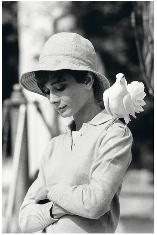 Audrey Hepburn and dove